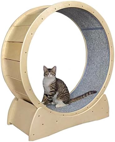 Cat Exercise Wheel